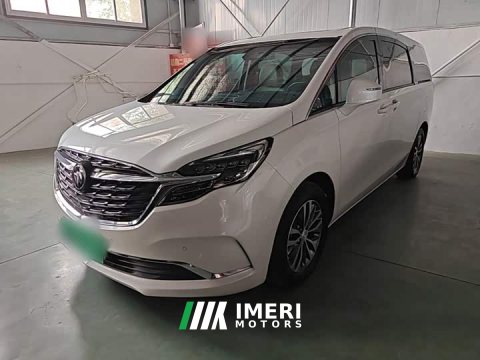 2021 Buick GL8 ES Land Respect 653T Respect Enjoyment Edition - ავტომობილი ჩინეთიდან