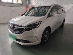 Buick GL8 ES Land Respect 653T Respect Enjoyment Edition - ფოტო 2