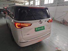 Buick GL8 ES Land Respect 653T Respect Enjoyment Edition - ფოტო 6