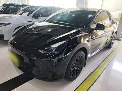 Tesla Model Y Rear-Wheel Drive - ფოტო 1