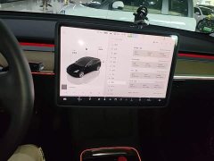 Tesla Model Y Rear-Wheel Drive - ფოტო 13