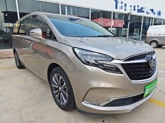Buick GL8 ES Land Respect 653T Premier - ფოტო 4