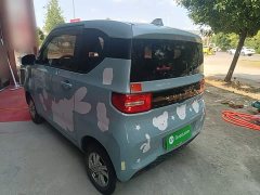 Wuling Hongguang MINIEV 2020 Zizai Edition LFP Battery - ფოტო 5