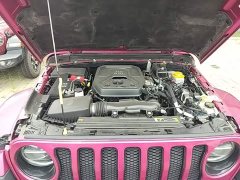 Jeep Wrangler 2022 2.0T High Altitude Bahama Beach Pink Special Edition - ფოტო 20