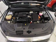 BYD Qin PLUS Champion Edition DM-i 55KM Leading - ფოტო 20