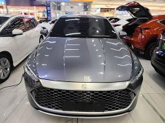 BYD Qin PLUS Champion Edition DM-i 55KM Leading - ფოტო 3