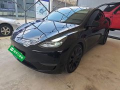 Tesla Model Y Performance All-Wheel Drive - ფოტო 1