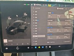 Tesla Model Y Performance All-Wheel Drive - ფოტო 12