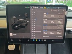 Tesla Model Y Performance All-Wheel Drive - ფოტო 13