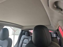 Tesla Model Y Performance All-Wheel Drive - ფოტო 18