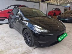 Tesla Model Y Performance All-Wheel Drive - ფოტო 4