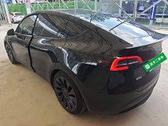 Tesla Model Y Performance All-Wheel Drive - ფოტო 5