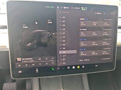 Tesla Model Y Rear-Wheel Drive - ფოტო 12