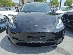 Tesla Model Y Rear-Wheel Drive - ფოტო 3