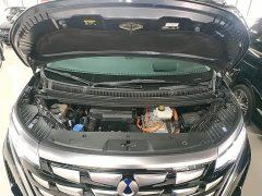 Denza D9 2022 DM-i 970 AWD Flagship - ფოტო 20