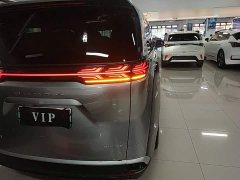 Denza D9 2022 DM-i 970 AWD Flagship - ფოტო 8
