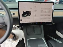 Tesla Model 3 2022 Rear-Wheel Drive - ფოტო 13