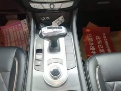 Volkswagen Cannon 2020 2.0T Automatic Diesel 2WD Comfort Edition GW4D20M - ფოტო 14