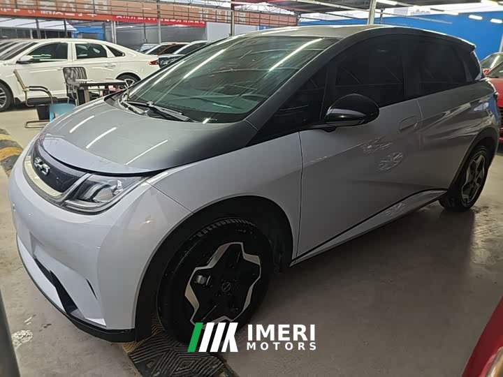 BYD Dolphin 405km Freedom Edition - ავტომობილი ჩინეთიდან