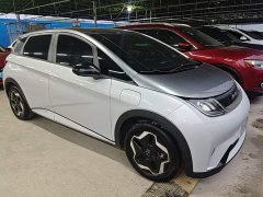 BYD Dolphin 405km Freedom Edition - ფოტო 4