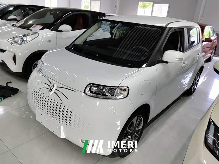 Ora White Cat Upgrade 305km Luxury Trim Ternary Lithium Battery - ავტომობილი ჩინეთიდან