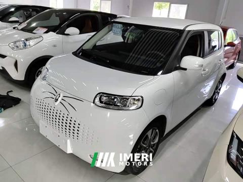 2022 Ora White Cat Upgrade 305km Luxury Trim Ternary Lithium Battery - ავტომობილი ჩინეთიდან