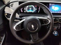 Ora White Cat Upgrade 305km Luxury Trim Ternary Lithium Battery - ფოტო 11