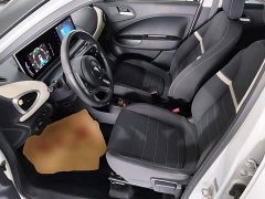Ora White Cat Upgrade 305km Luxury Trim Ternary Lithium Battery - ფოტო 15