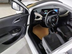 Ora White Cat Upgrade 305km Luxury Trim Ternary Lithium Battery - ფოტო 16