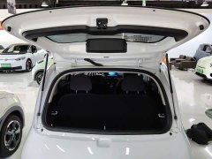 Ora White Cat Upgrade 305km Luxury Trim Ternary Lithium Battery - ფოტო 19