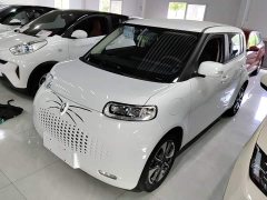 Ora White Cat Upgrade 305km Luxury Trim Ternary Lithium Battery - ფოტო 2