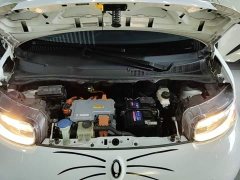 Ora White Cat Upgrade 305km Luxury Trim Ternary Lithium Battery - ფოტო 20