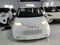 Ora White Cat Upgrade 305km Luxury Trim Ternary Lithium Battery - ფოტო 3