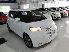 Ora White Cat Upgrade 305km Luxury Trim Ternary Lithium Battery - ფოტო 4