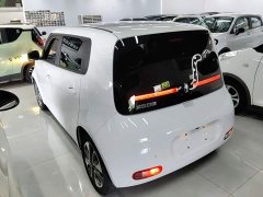 Ora White Cat Upgrade 305km Luxury Trim Ternary Lithium Battery - ფოტო 5