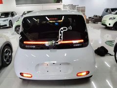 Ora White Cat Upgrade 305km Luxury Trim Ternary Lithium Battery - ფოტო 6