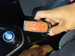 Ora White Cat Upgrade 305km Luxury Trim Ternary Lithium Battery - ფოტო 9