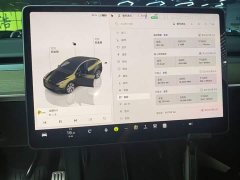 Tesla Model Y Rear-Wheel Drive - ფოტო 12