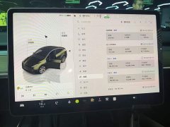 Tesla Model Y Rear-Wheel Drive - ფოტო 13