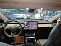 Tesla Model 3 2022 Rear-Wheel Drive - ფოტო 10