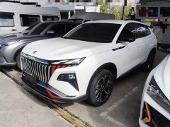 Dongfeng Haoji Mach Power 1.5T Luxury - ფოტო 2