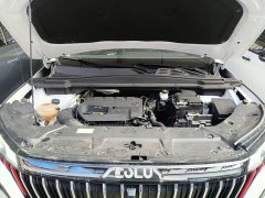Dongfeng Haoji Mach Power 1.5T Luxury - ფოტო 20