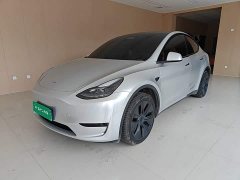 Tesla Model Y Rear-Wheel Drive - ფოტო 2