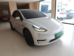 Tesla Model Y Rear-Wheel Drive - ფოტო 4