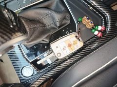 Volkswagen Tiguan L 330TSI Automatic FWD R-Line Comfort Edition - ფოტო 9