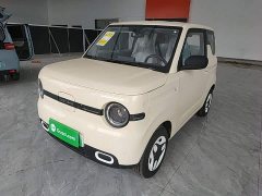 Geely Panda 2025 Panda Mini 210km Vitality Edition - ფოტო 2