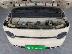 Geely Panda 2025 Panda Mini 210km Vitality Edition - ფოტო 20