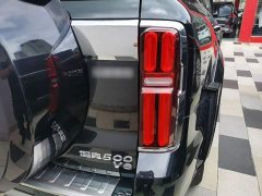 Tank 500 3.0T Sport Landscape 5-Seater - ფოტო 8