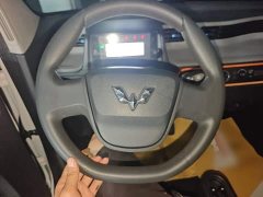 Wuling Hongguang MINIEV 2022 Easy Edition LFP Battery - ფოტო 11