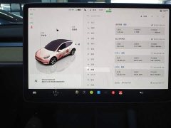 Tesla Model Y Rear-Wheel Drive - ფოტო 12
